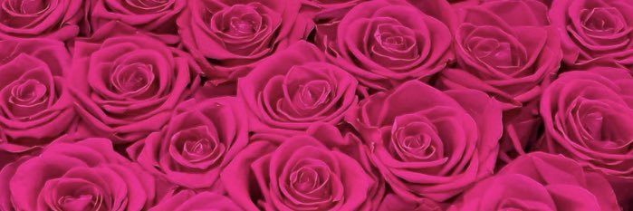 _ascouture's profile banner image