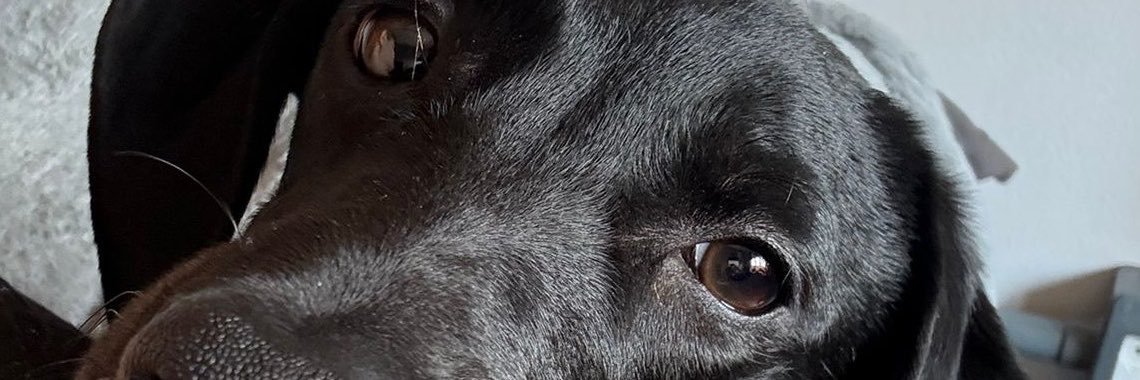 macielaila_'s profile banner image