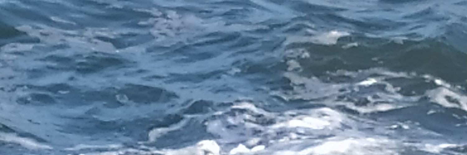 ToyiCorvalan's profile banner image