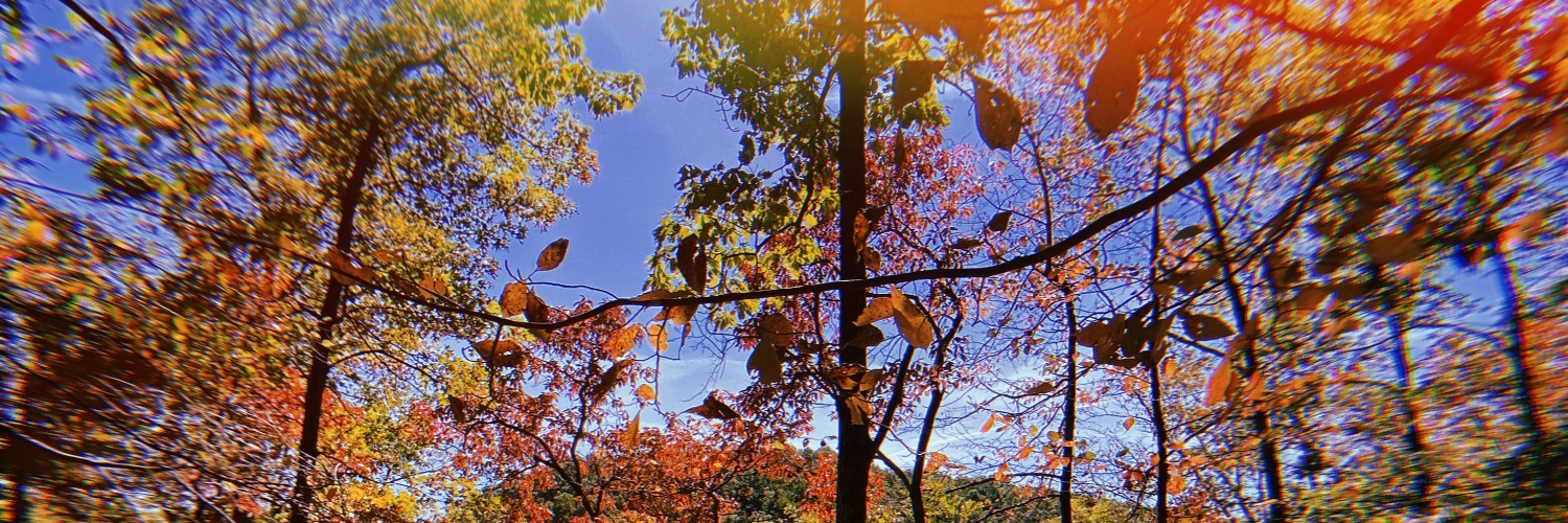 hlt_11's profile banner image