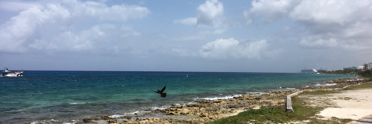 Tasha Young, Ed.D. banner