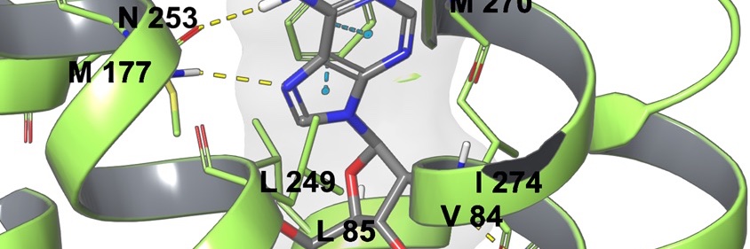 Kenneth Jacobson banner