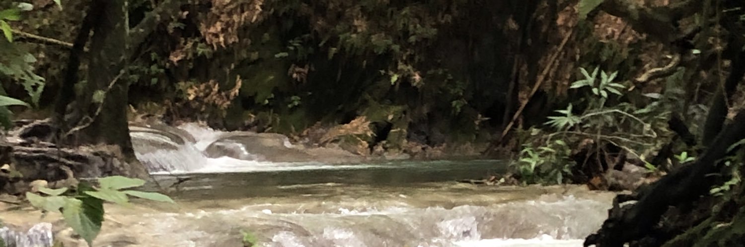 Lil_A_Fool's profile banner image