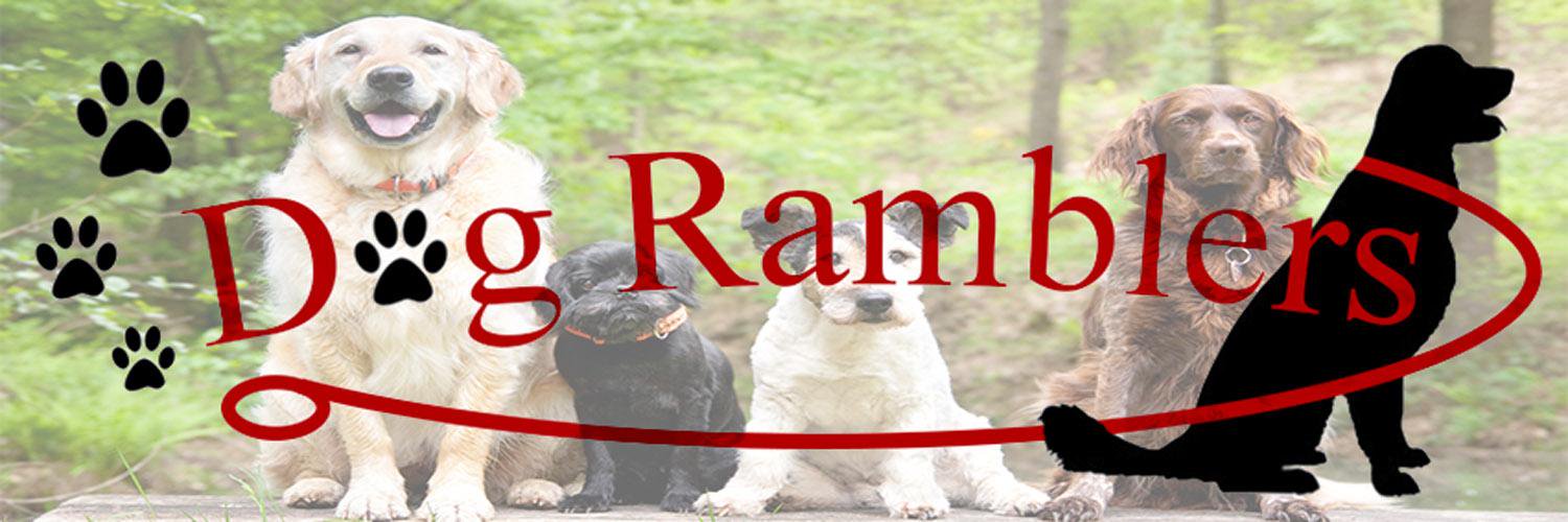 DogRamblers's profile banner image