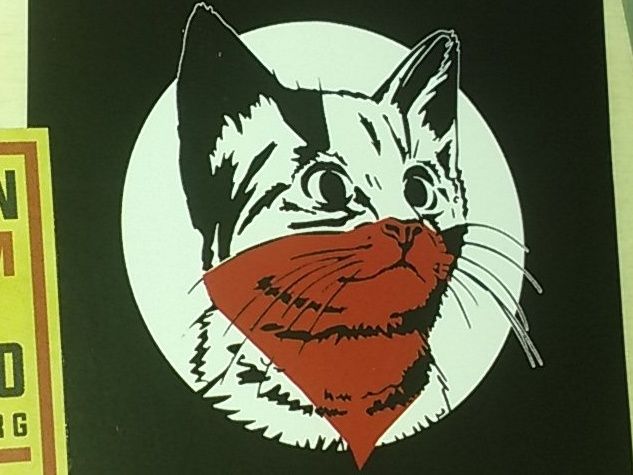 pasch_AC's profile banner image