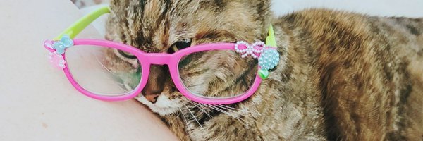 danielleRoyalKC Profile Banner