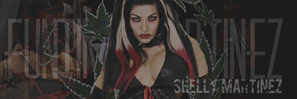 Shellz banner