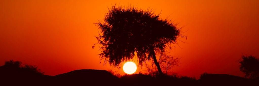 alsamsami86's profile banner image