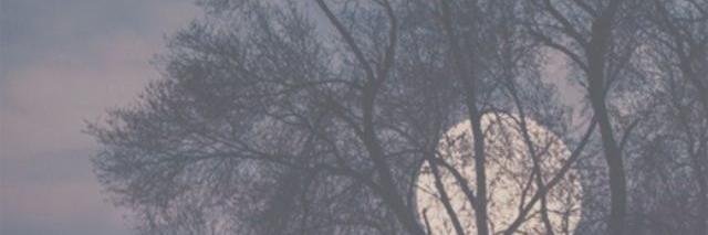 leezalala's profile banner image