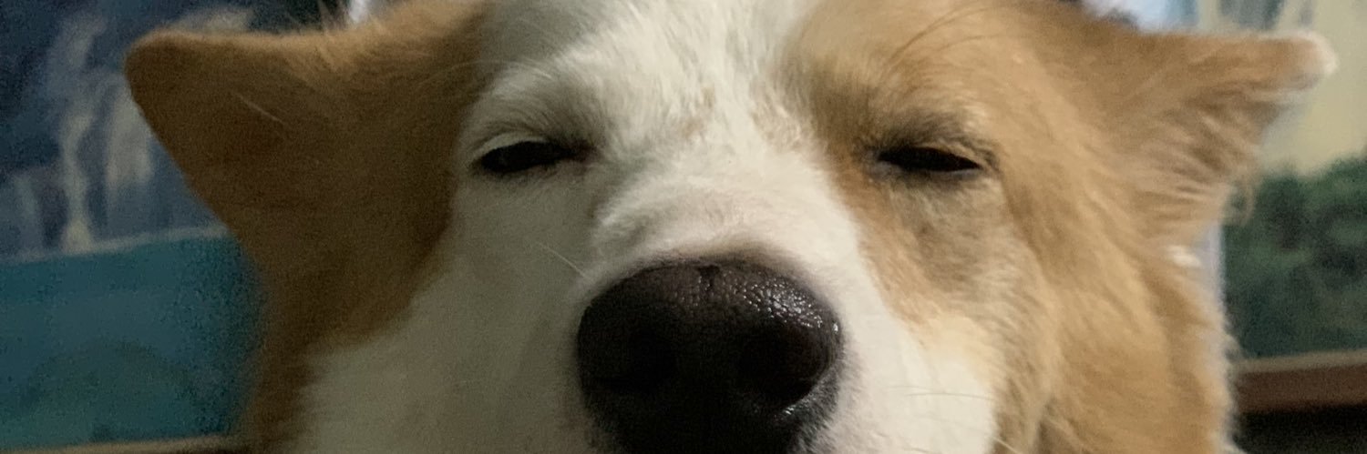 Istelki's profile banner image