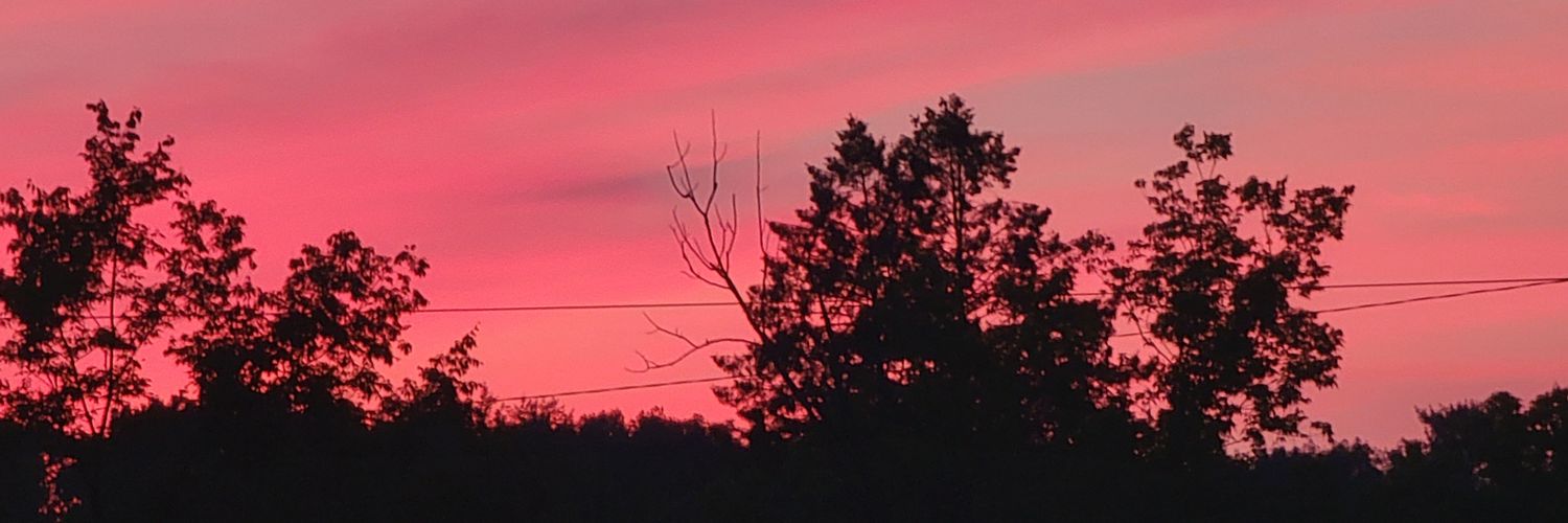 OGPandaGod's profile banner image