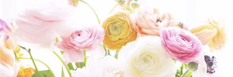 lisajsparkman's profile banner image