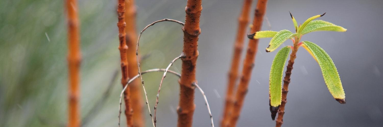 imazcom's profile banner image