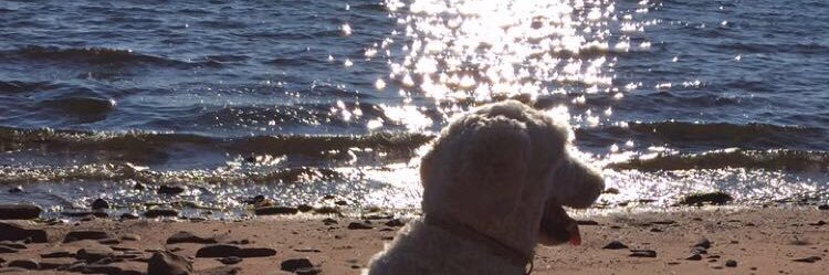 jmcguirk31's profile banner image