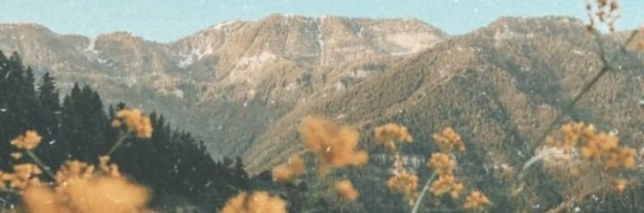 Baby_Ditt23's profile banner image