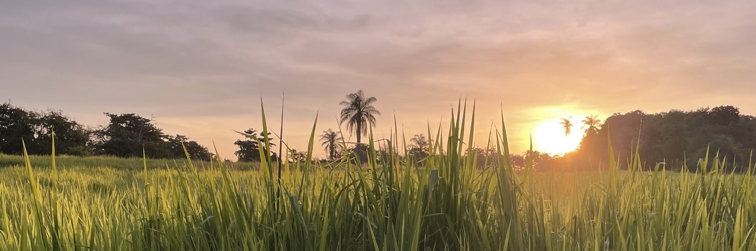 qinis_'s profile banner image