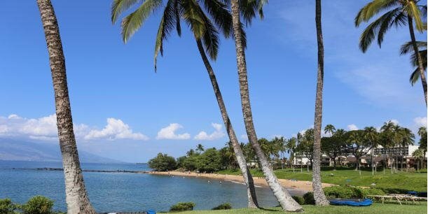 AshDeAngelis's profile banner image