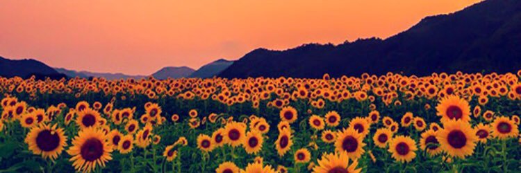 brO_okejohnson's profile banner image