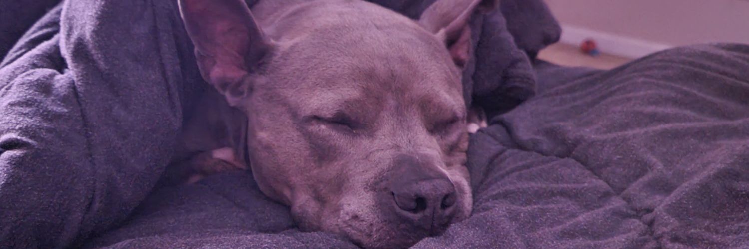 rogers_brad's profile banner image