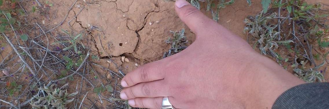 منتصر الشريف banner