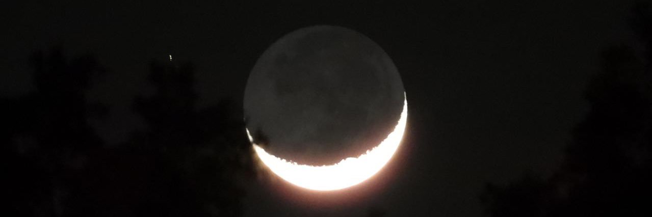 cherryyboo_'s profile banner image
