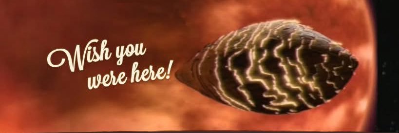 The Chris Michael® banner