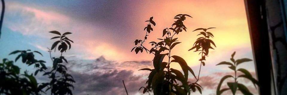 marcellaghesini's profile banner image