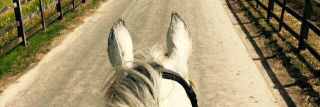 PonyPatters's profile banner image