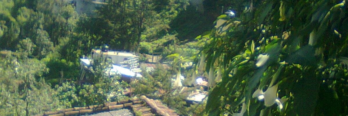 Rafvic1's profile banner image