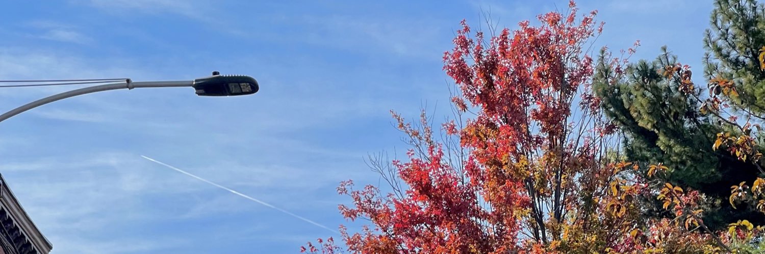 morganlynn25's profile banner image
