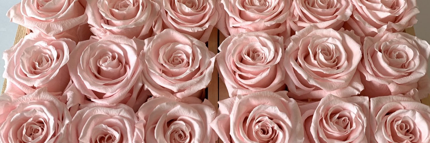sherry_saeidi's profile banner image