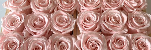 sherry_saeidi Profile Banner