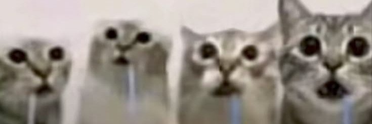 ushijpg's profile banner image