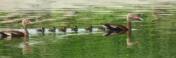 Kimnv7 Profile Banner