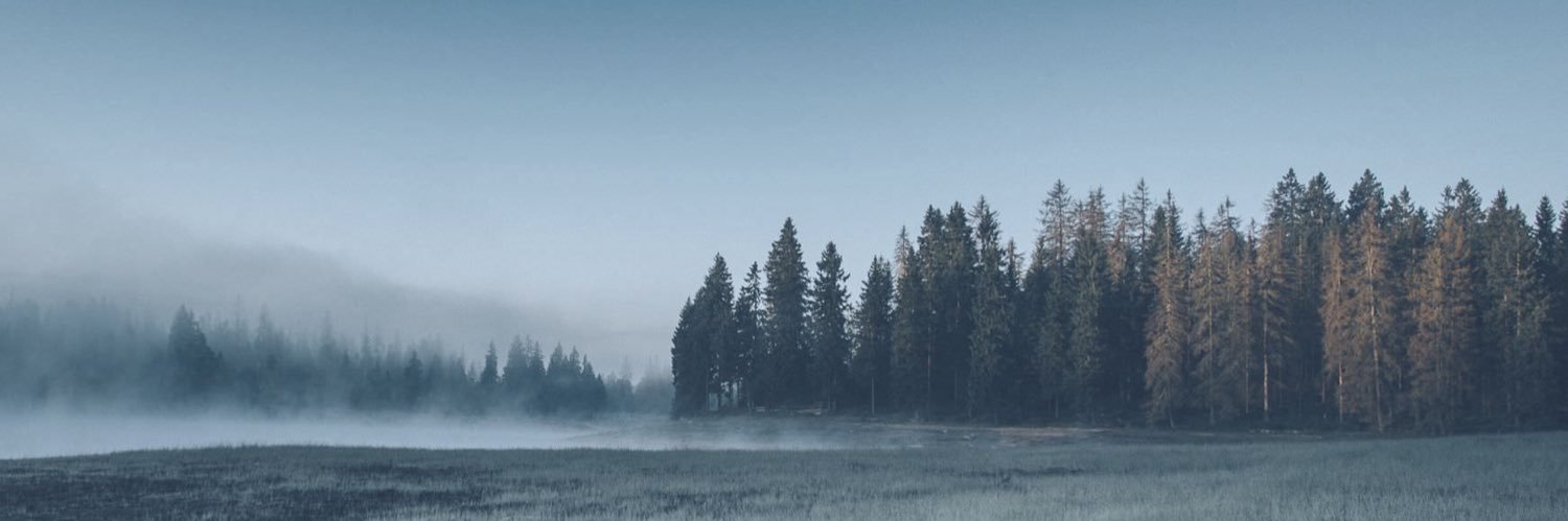 danpsf's profile banner image