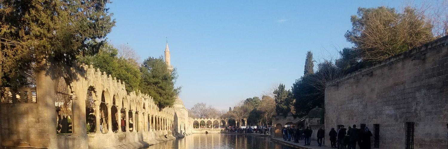 eliseebru's profile banner image