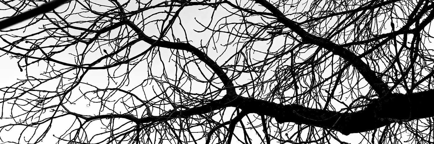 Eddie Thompson banner