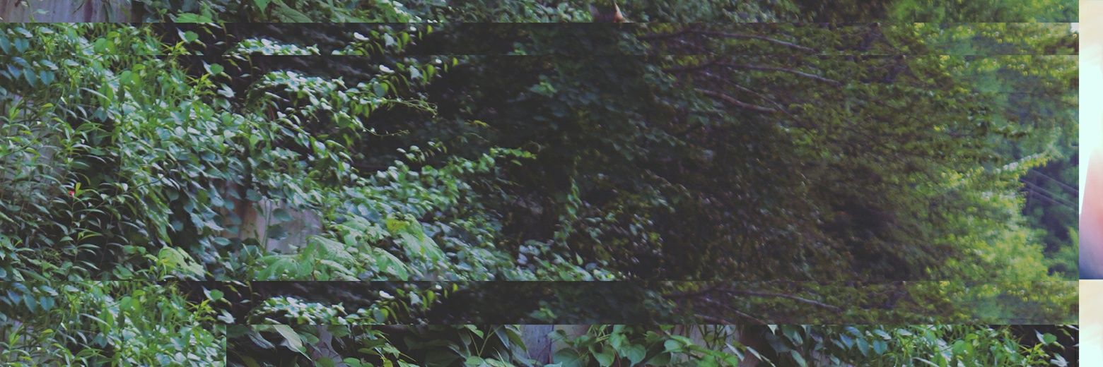 Landonmakesart's profile banner image