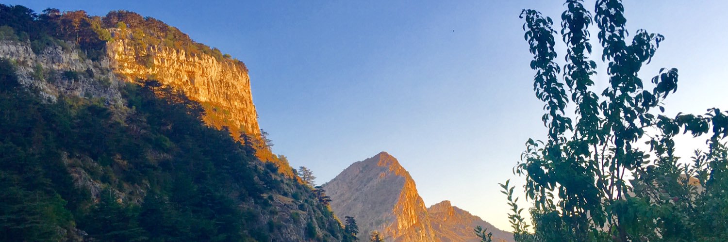 nicodime1's profile banner image
