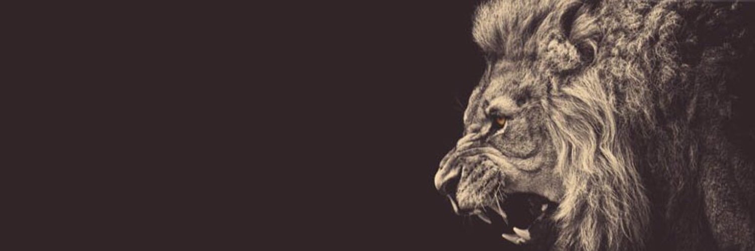 sgrallex's profile banner image