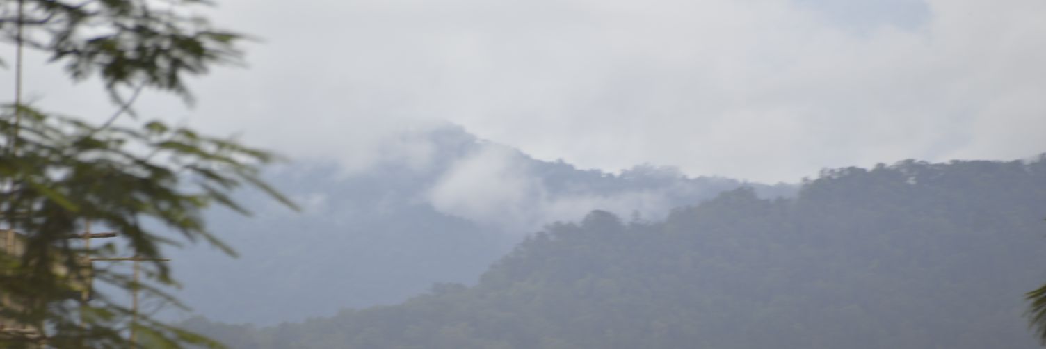 dipankur's profile banner image