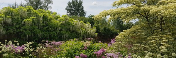 hlockett6 Profile Banner