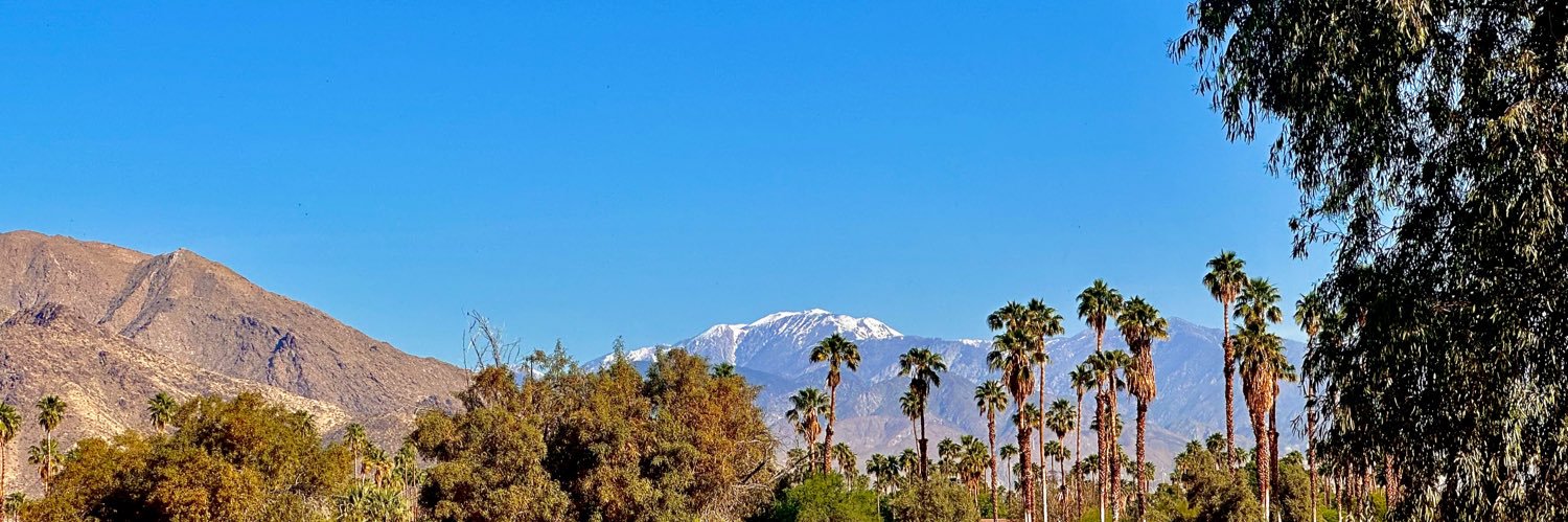 Alex aka Muscato banner