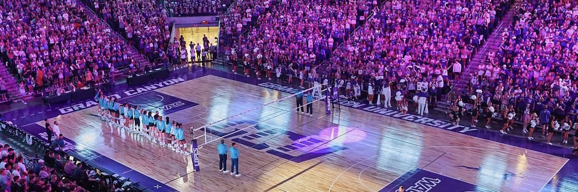 casey shingler banner