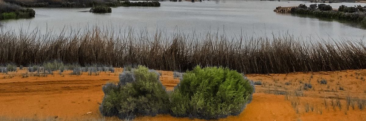 bnrasem's profile banner image