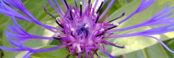 deeone6603 Profile Banner