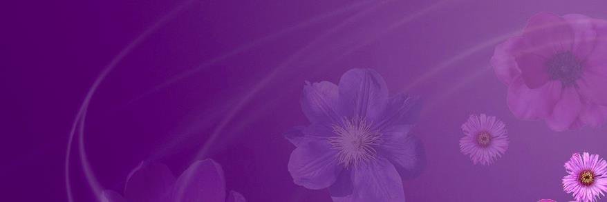 KnittingAndYarn's profile banner image