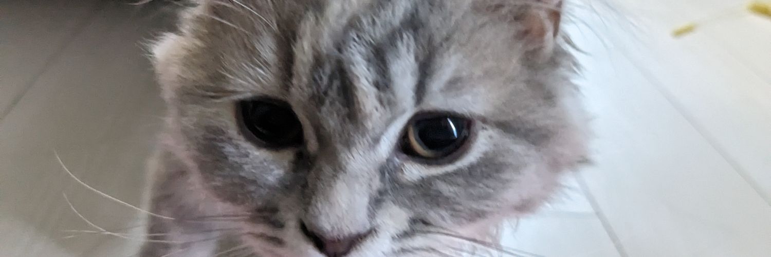 ume660's profile banner image