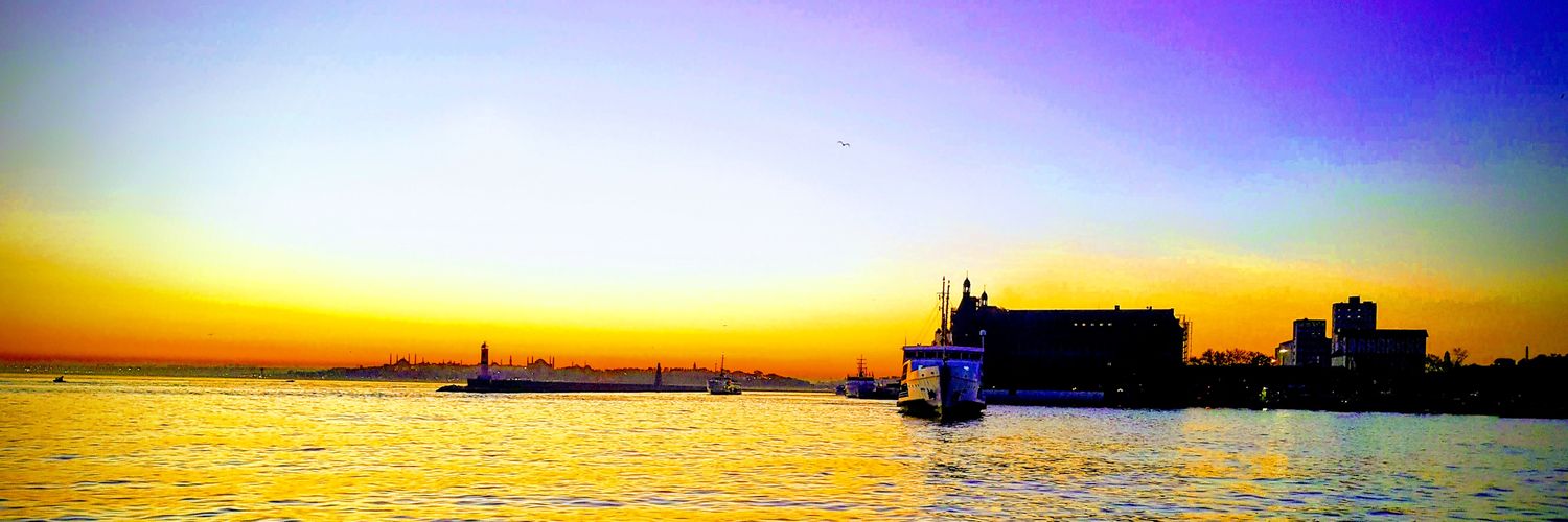 icidisi1's profile banner image