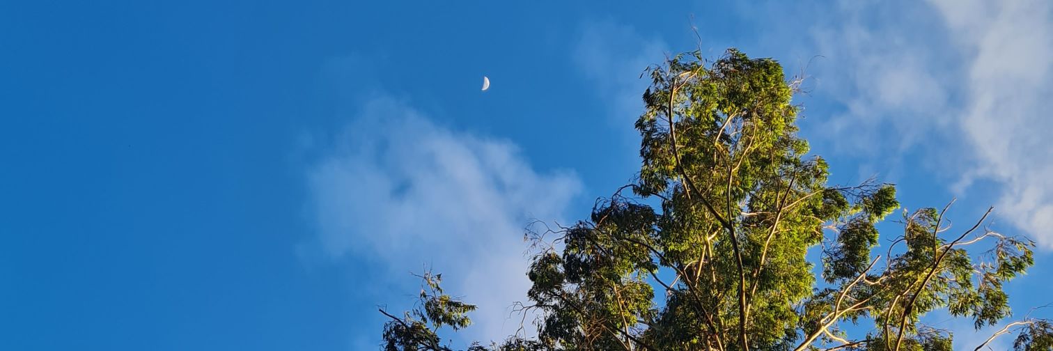 akungjlsputri's profile banner image